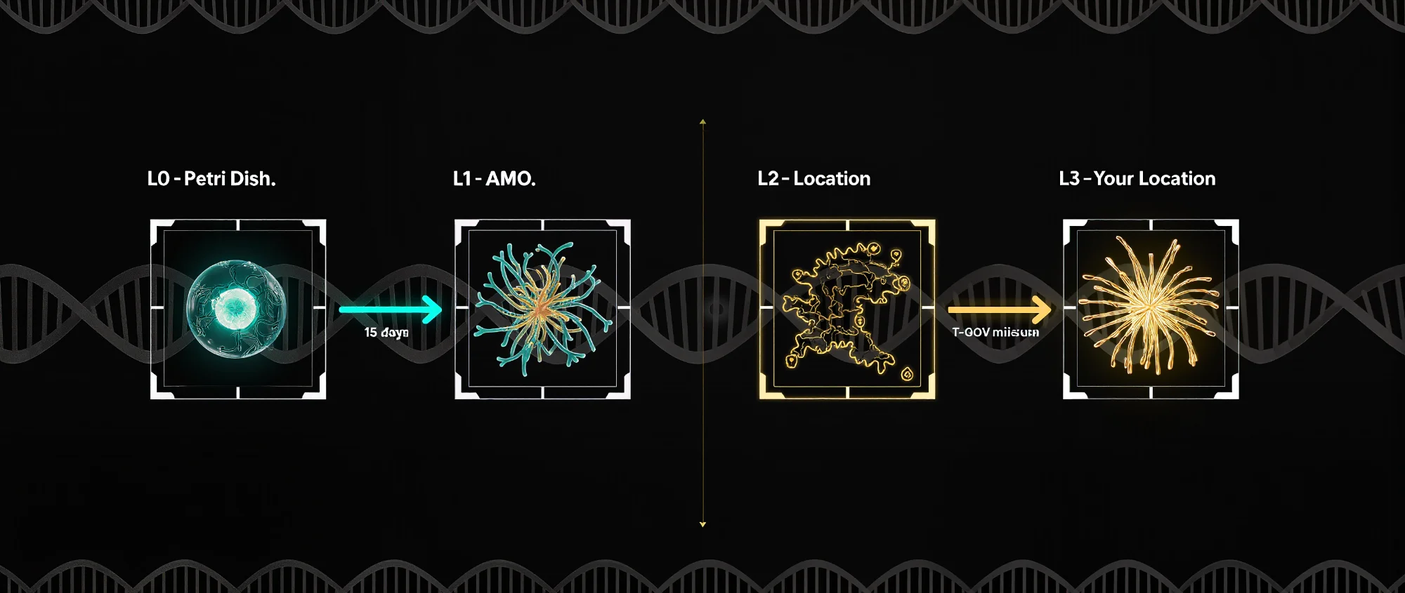 Evolution Path L0 to L3